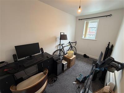 Picture 13